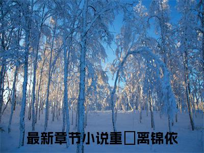 重燊离锦依精选小说-重燊离锦依全章节(重燊离锦依)完整小说