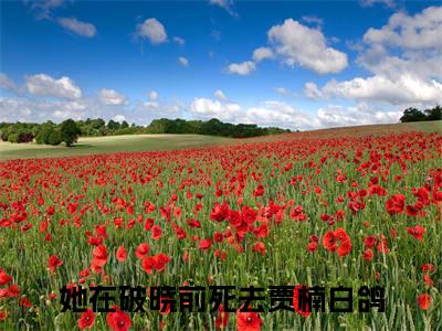她在破晓前死去（贾楠白鸽）全文免费阅读无弹窗大结局_（她在破晓前死去免费阅读全文大结局）最新章节列表