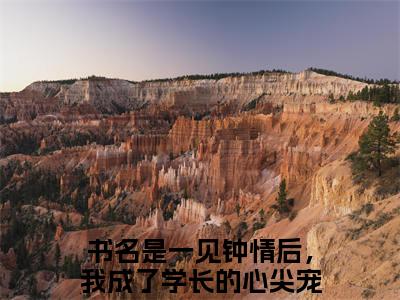 凌渊池渔（一见钟情后，我成了学长的心尖宠全文免费大结局）在线阅读-一见钟情后，我成了学长的心尖宠全文无删减免费赏析