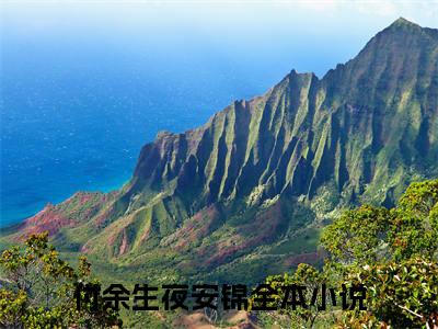 付余生夜安锦（付余生夜安锦）最新完结免费阅读-（付余生夜安锦）悬疑小说在线阅读
