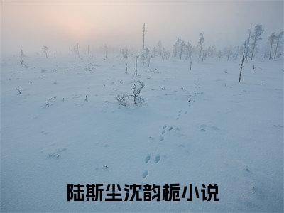 陆斯尘沈韵栀（陆斯尘沈韵栀）全文免费阅读无弹窗大结局_陆斯尘沈韵栀全文在线阅读无弹窗