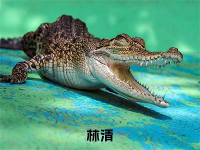 林清（铁血军官）全文在线阅读无弹窗大结局_（林清在线阅读）最新章节列表_笔趣阁