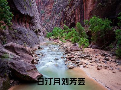 （白汀月刘芳芸）全文免费阅读无弹窗大结局_（玄蛇在侧阅读无弹窗）白汀月刘芳芸最新章节列表