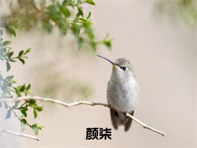 救命，全宗门要被小师妹逼疯了小说（颜柒）全文免费阅读无弹窗大结局_（救命，全宗门要被小师妹逼疯了）小说章节列表（颜柒）