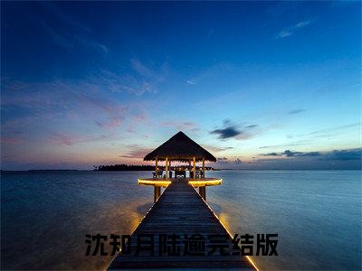 沈知月陆逾（沈知月陆逾）全文免费阅读无弹窗大结局_(沈知月陆逾最新章节在线阅读)_笔趣阁