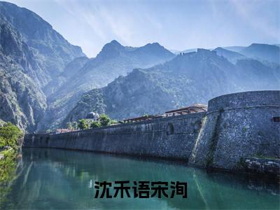 沈禾语宋洵精选小说大结局阅读-新上热文小说（沈禾语宋洵）讲的是什么
