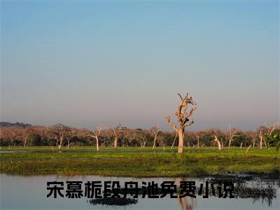 抖音热推宋慕栀段舟池（宋慕栀段舟池）免费小说-宋慕栀段舟池小说完整版阅读