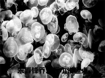 热点小说宋青锋乔念瑶，宋青锋乔念瑶免费章节阅读