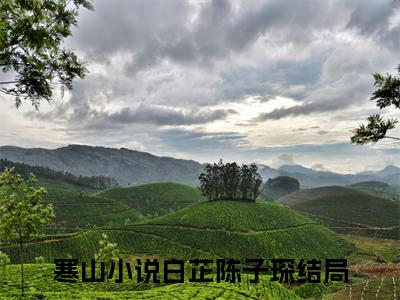 白芷陈子琛全文免费阅读大结局_寒山已完结全集白芷陈子琛大结局小说