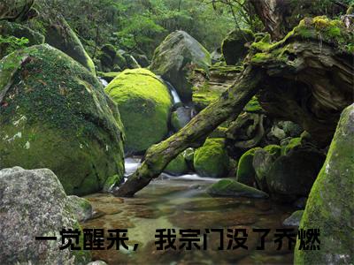 言情小说榜单一觉醒来，我宗门没了乔燃阅读全文（一觉醒来，我宗门没了乔燃）-一觉醒来，我宗门没了乔燃完整版免费小说