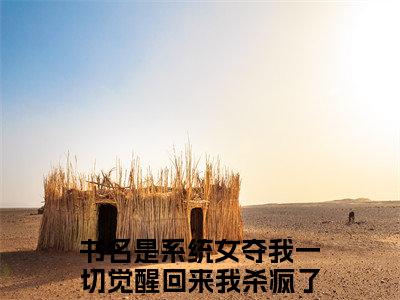 叶桑宁小说（系统女夺我一切觉醒回来我杀疯了）全文免费阅读无弹窗大结局_叶桑宁全文免费完结版阅读（系统女夺我一切觉醒回来我杀疯了）