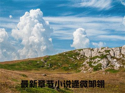 逄微邹翎（逄微邹翎）全文免费阅读无弹窗_（逄微邹翎的小说全文免费阅读）逄微邹翎小说最新章节列表无删减