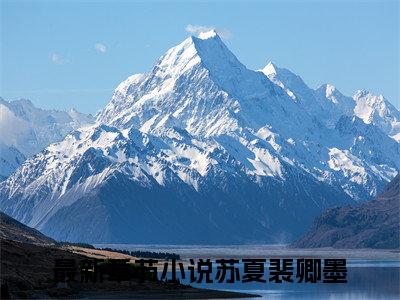 苏夏裴卿墨小说免费阅读 苏夏裴卿墨完整版全文大结局