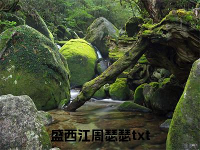 主角为盛西江周瑟瑟的小说全文完整版阅读