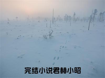 君赫小昭（君赫小昭）全文小说-（君赫小昭）小说最新章节免费阅读