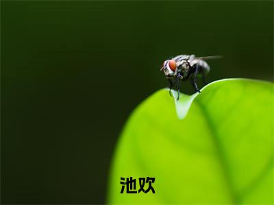 热门小说已完结池欢小说无弹窗大结局_池欢日夜所求全文阅读大结局