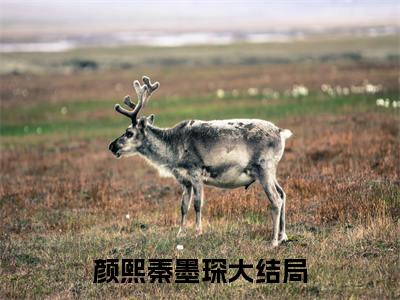 精选好书颜熙秦墨琛无弹窗免费阅读-（颜熙秦墨琛）完整版全文在线赏析