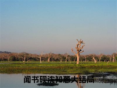 闻先生请禁欲，未婚妻已好孕精彩小说（闻书砚沈知蒽）在哪免费看-小说（闻书砚沈知蒽）全文完整版免费阅读