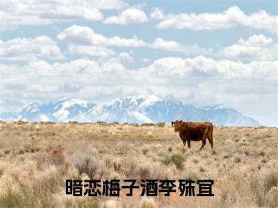 暗恋梅子酒李殊宜新上热文小说（暗恋梅子酒李殊宜）讲的是什么-暗恋梅子酒李殊宜全文完整版免费阅读