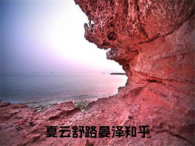 夏云舒路晏泽（完整版）热文小说阅读-夏云舒路晏泽全文抖音热推