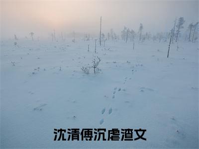 沈清傅沉小说（沈清傅沉）最新章节阅读-最新热点小说沈清傅沉