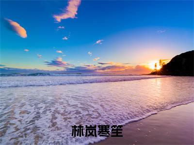 林岚寒笙(林岚寒笙小说)全文免费阅读无弹窗大结局-林岚寒笙小说最新章节列表_笔趣阁