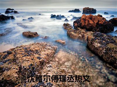 沈稚尔傅瑾丞全网首发最新小说-沈稚尔傅瑾丞全文在线免费阅读