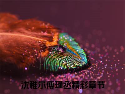 沈稚尔傅瑾丞（沈稚尔傅瑾丞）小说全文免费阅读正版无弹窗_(沈稚尔傅瑾丞)最新章节列表
