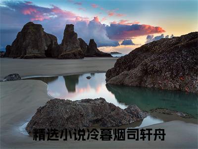冷暮烟司轩舟（冷暮烟司轩舟）小说全文无删减-冷暮烟司轩舟小说大结局免费阅读