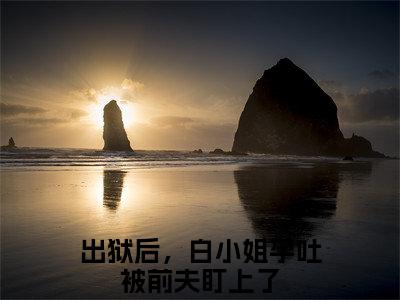出狱后，白小姐孕吐被前夫盯上了白凝墨晟渊小说全文免费阅读_出狱后，白小姐孕吐被前夫盯上了（白凝墨晟渊）最新章节列表笔趣阁