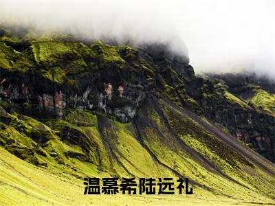 温慕希陆远礼全章节目录温慕希陆远礼小说阅读