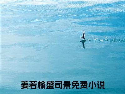 姜若榆盛司景豪门小说全章节阅读-姜若榆盛司景全文免费阅读