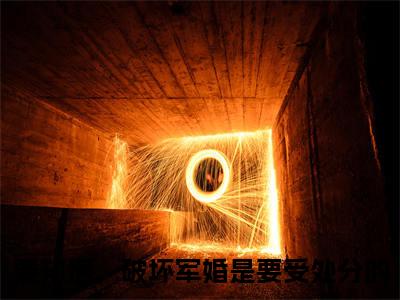夏唯安江彦词（要知道，破坏军婚是要受处分的）全文免费阅读无弹窗大结局_要知道，破坏军婚是要受处分的最新章节列表_笔趣阁