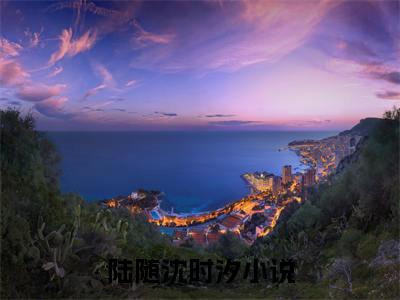 陆随沈时汐全文免费阅读无弹窗大结局_(陆随沈时汐小说)陆随沈时汐无弹窗最新章节列表