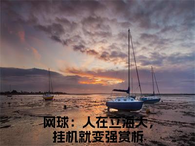 好书推荐小说高桥彦一木村小郎（网球：人在立海大，挂机就变强）-高桥彦一木村小郎全文免费阅读大结局