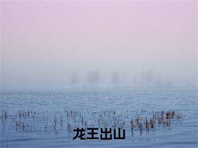 叶天羽（龙王出山）完结版小说-叶天羽小说全文免费阅读笔趣阁
