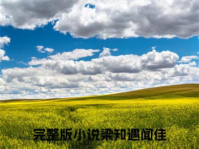 梁知遇闻佳小说（梁知遇闻佳）全文免费阅读无弹窗大结局_(梁知遇闻佳小说)梁知遇闻佳小说免费阅读无弹窗最新章节列表_笔趣阁（梁知遇闻佳）