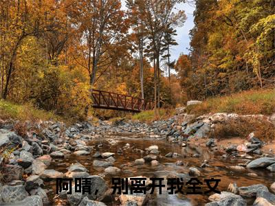 阿晴，别离开我（程念晴季寒泓）全文免费阅读无弹窗_（程念晴季寒泓小说全文免费阅读）阿晴，别离开我最新章节列表笔趣阁