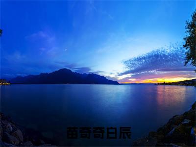 苗奇奇白辰为苗奇奇白辰的小说叫什么-最新小说王妃脾气不太好全文阅读