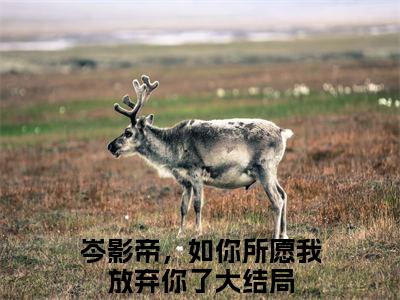 岑影帝，如你所愿我放弃你了全文（穆霓岑衍皓）全文免费阅读无弹窗大结局_（岑影帝，如你所愿我放弃你了全文）穆霓岑衍皓全文最新章节列表_笔趣阁（岑影帝，如你所愿我放弃你了全文）