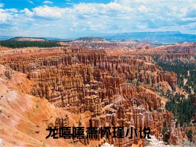 龙嘻嘻萧怀瑾首发小说-龙嘻嘻萧怀瑾(龙嘻嘻萧怀瑾)无删减版全文在线