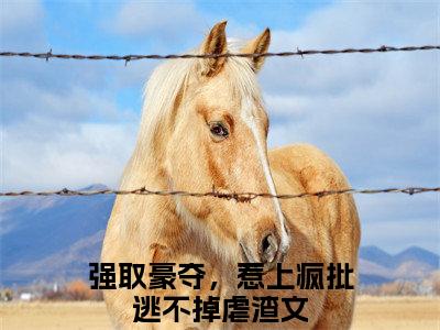 强取豪夺，惹上疯批逃不掉（傅司礼叶小糯）全文免费阅读无弹窗大结局_强取豪夺，惹上疯批逃不掉（傅司礼叶小糯小说免费阅读）_笔趣阁