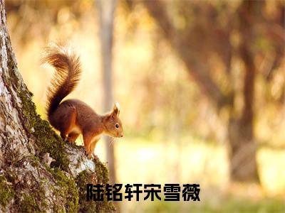 陆铭轩宋雪薇小说（已完结小说全集完整版大结局）小说全文阅读笔趣阁