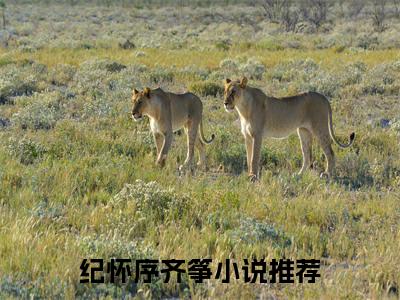 纪怀序齐筝近新热推小说-纪怀序齐筝完整版在线阅读