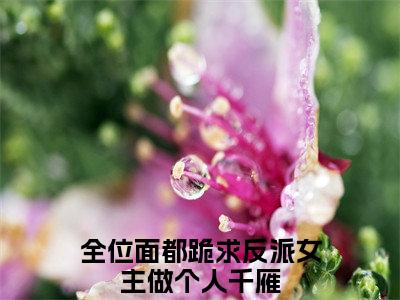 全位面都跪求反派女主做个人千雁小说全文免费阅读 -全位面都跪求反派女主做个人千雁在线完整版