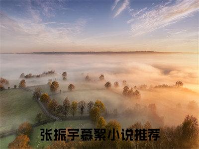 张振宇慕絮（张振宇慕絮）免费小说-张振宇慕絮（张振宇慕絮）完结版在线阅读