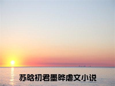 苏晗初君墨晔(苏晗初君墨晔)全文免费阅读_苏晗初君墨晔全文阅读_笔趣阁