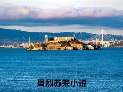 周烈苏茉主角是周烈苏茉全文免费阅读无弹窗-周烈苏茉最新章节列表-笔趣阁