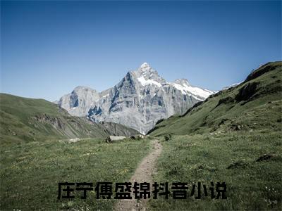 庄宁傅盛锦小说热门榜单免费阅读，庄宁傅盛锦抖音新上热文分享_笔趣阁