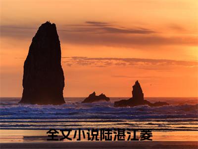 高赞小说（陆湛江菱小说免费阅读）完结阅读_陆湛江菱全文免费阅读最新章节大结局